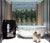 Dreampod Cold Plunge Barrel with Chiller – Compact, Insulated Ice Bath for Home Recovery