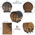 Finnmark FD-6 Cedar Barrel Sauna – 4-Person Hybrid Traditional & Infrared