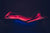 Full-body view of woman inside OvationULT red light therapy bed during active treatment session.