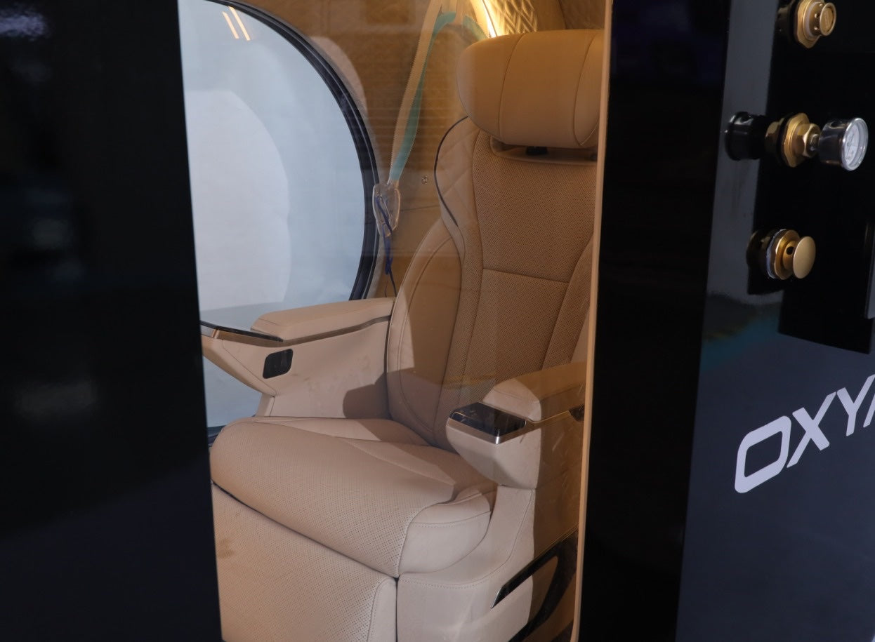 Oxyair OLV-YZD01 door and side panel with pressure gauge and valves, leather seat and panoramic window inside